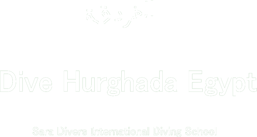 サラダイバーズ　ナポレオンロゴ写真