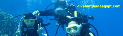 チェックダイブ